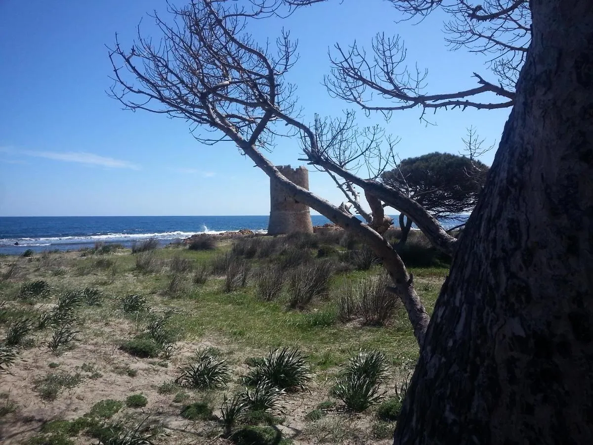 Sa Casaritza Lägenhet La Caletta 0*,  Italien
